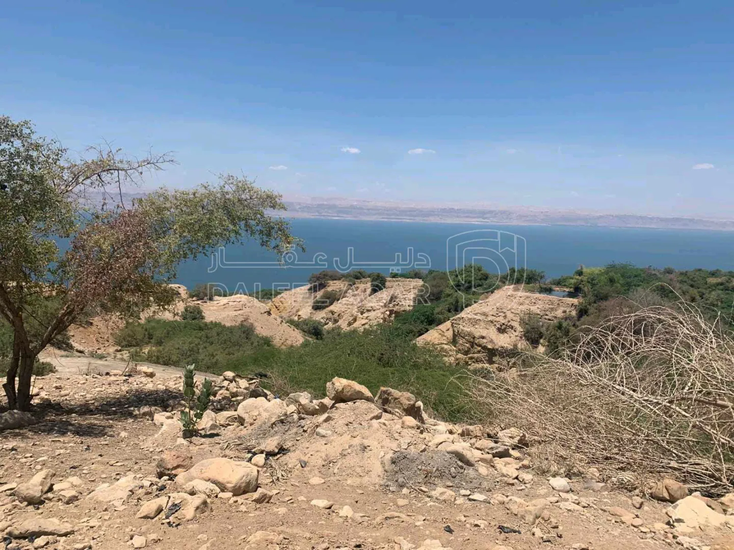 أرض في الزارة الشمالية - 190,000 دأ - صورة 1