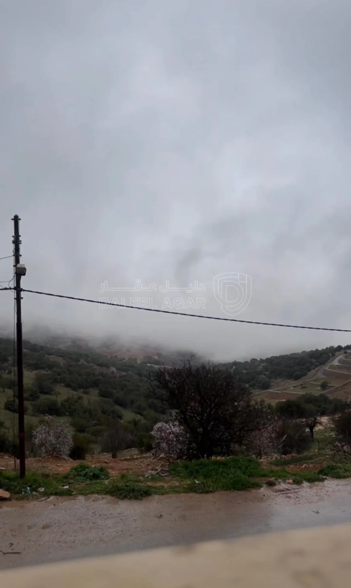 فيلا/منزل في عجلون راس منيف  - 63,000 دأ - صورة 12