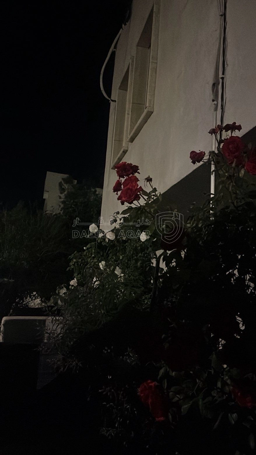 فيلا/منزل في عجلون راس منيف  - 63,000 دأ - صورة 10