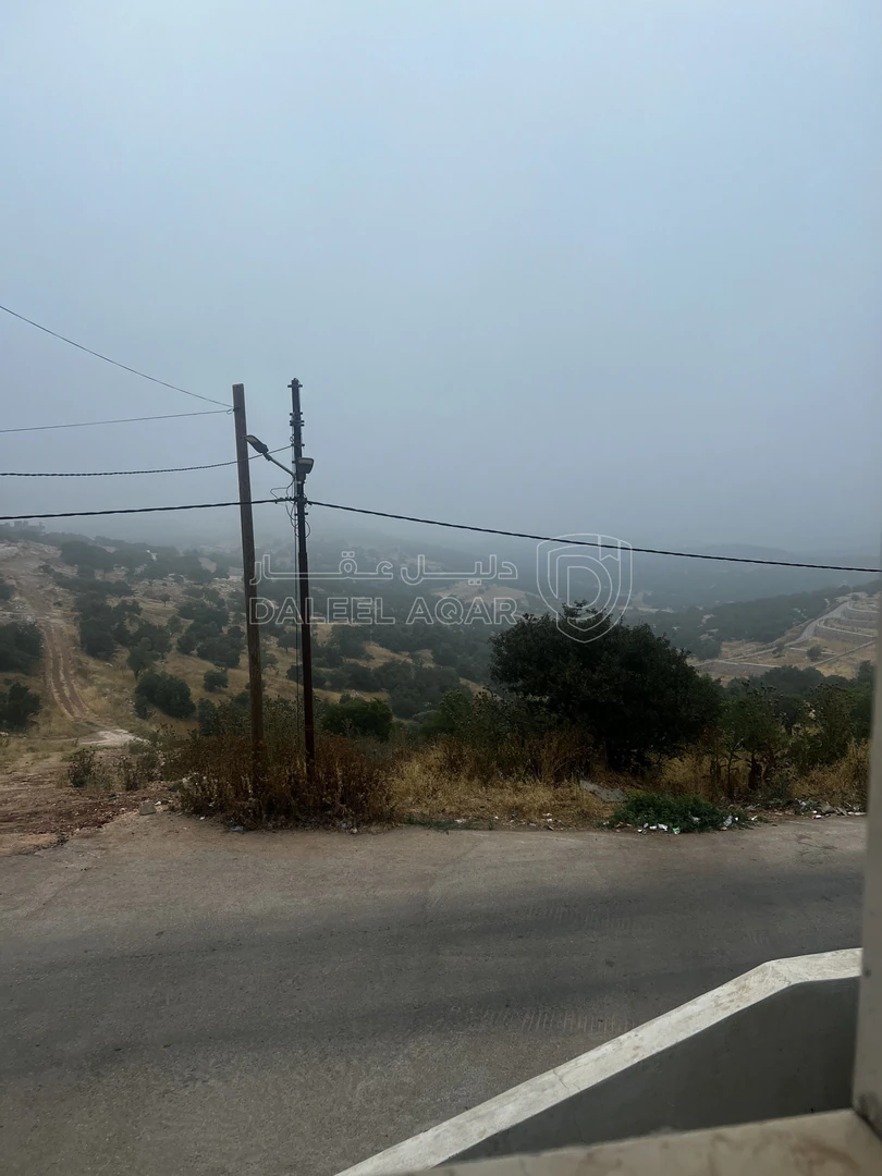 فيلا/منزل في عجلون راس منيف  - 63,000 دأ - صورة 3