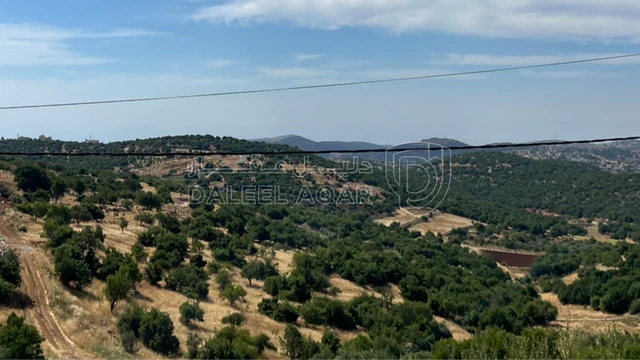 فيلا/منزل في عجلون راس منيف  - 63,000 دأ - صورة 1