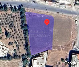 أرض - الظهير خلف مجمع ابو جاموس مقابل العشر فلل  - 1875000 دأ