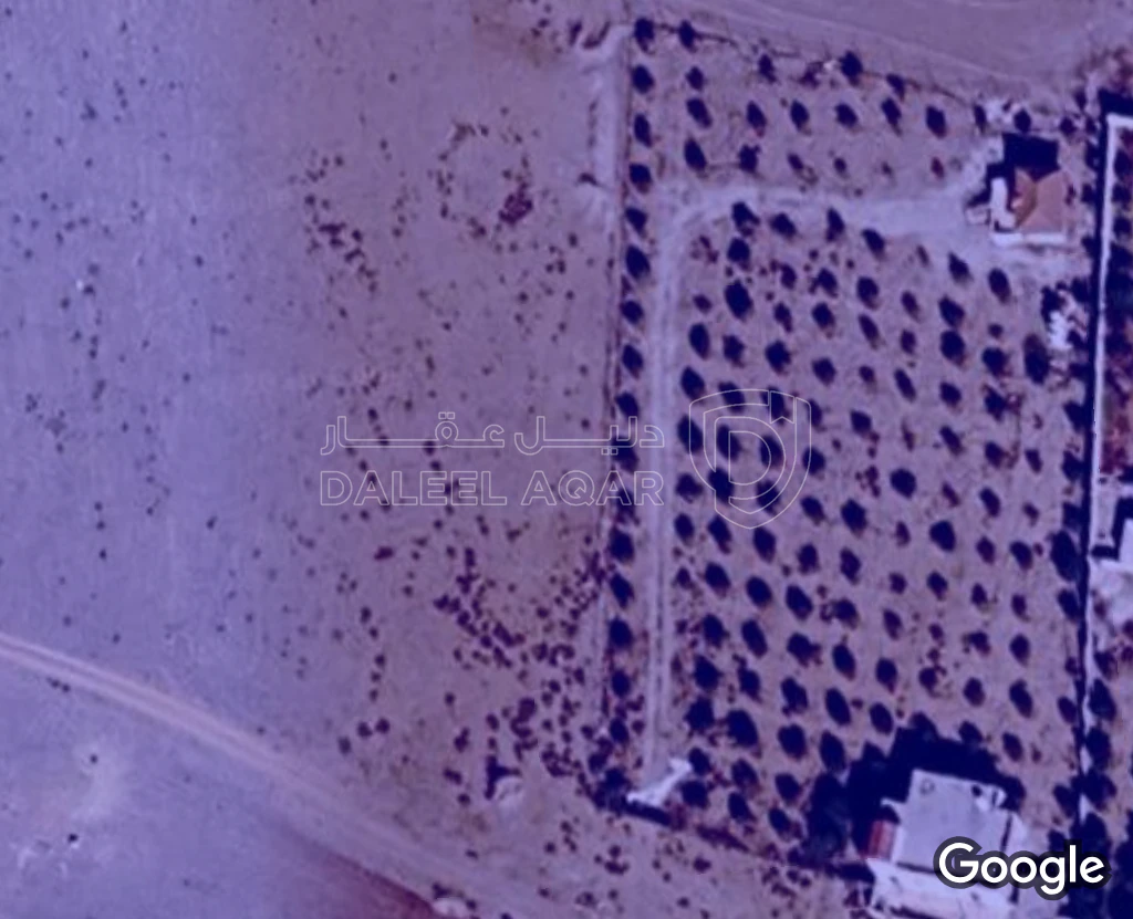 أرض في المفرق/ مغير السرحان/ حي الحرفوشيه/طريق رويال مون - 80,000 دأ - صورة 1