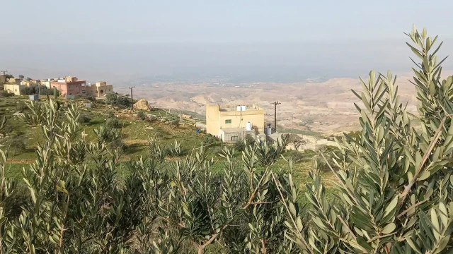 أرض - عمان ناعور منطقة تركي شارع العشرين - 120000 دأ