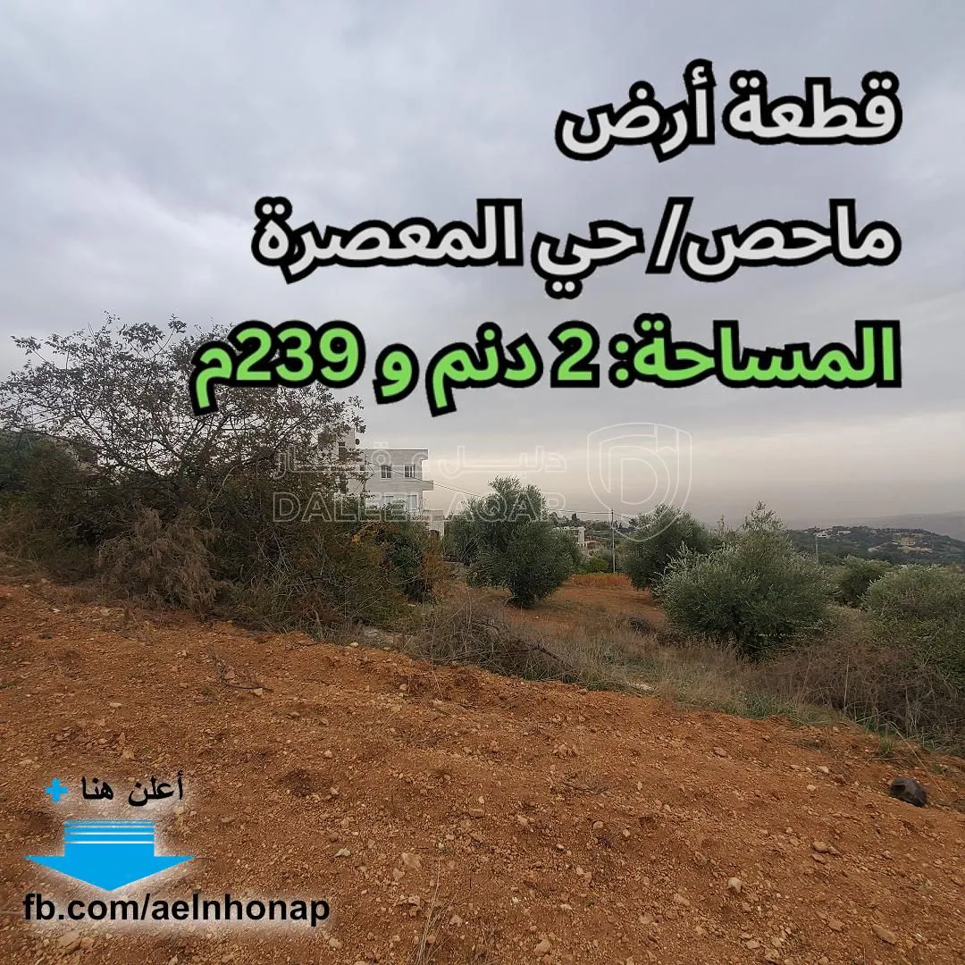 أرض في ماحص/ حي المعصرة - قرب مسجد المعتمد بن عباد - 940,380 دأ - صورة 1