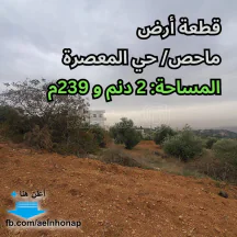أرض - ماحص/ حي المعصرة - قرب مسجد المعتمد بن عباد - 940380 دأ