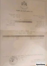 أرض في جريبا جوفة ذياب - 19,000 دأ - صورة NaN