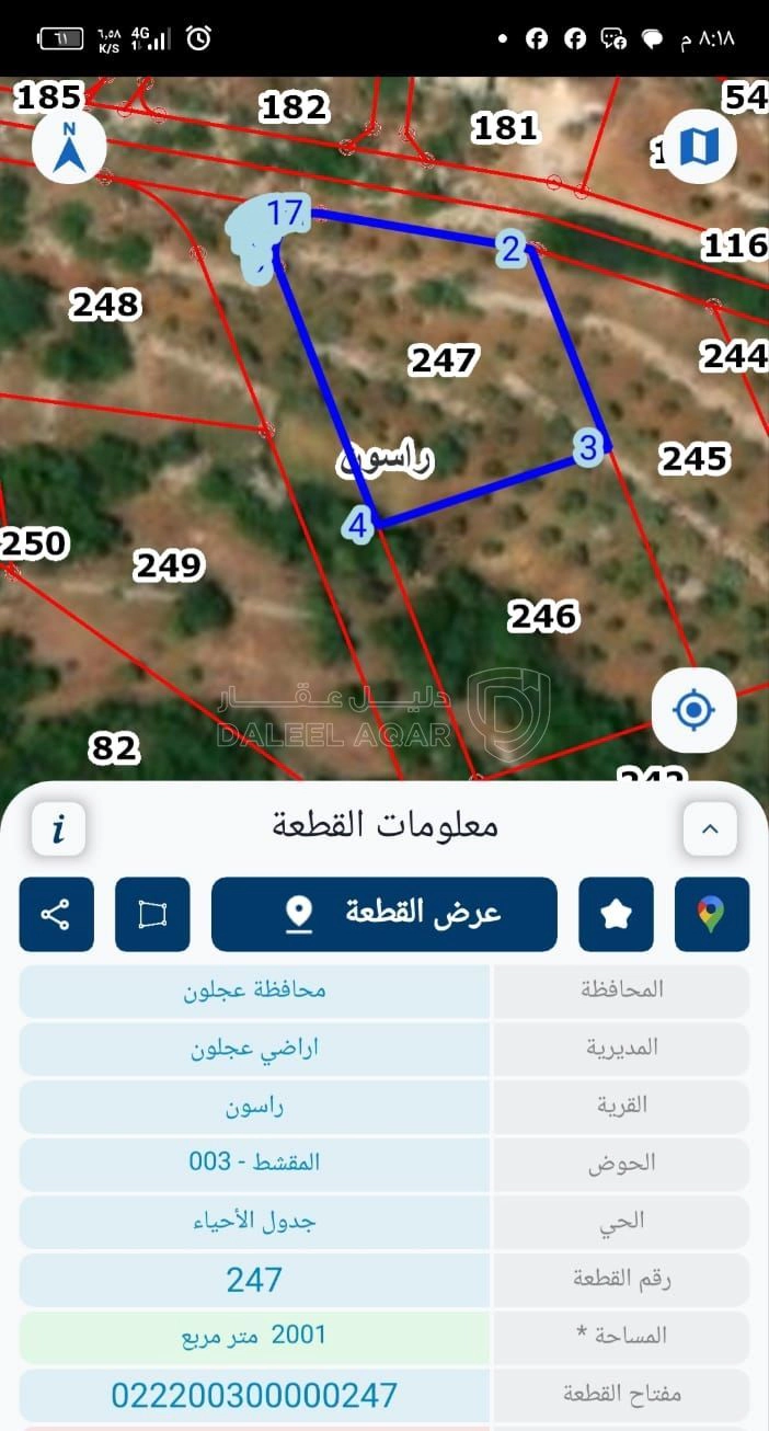 أرض في عجلون راسون صنعار - 24,000 دأ - صورة 1