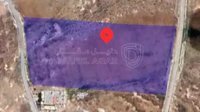 أرض - الكرك مثلث المرج الحويه - 24000 دأ