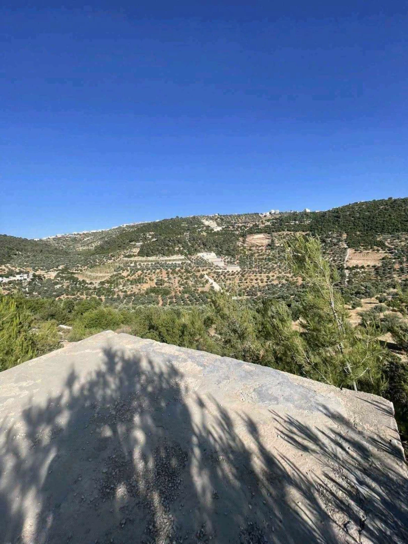أرض في جبال جرش  - 60,000 دأ - صورة 3