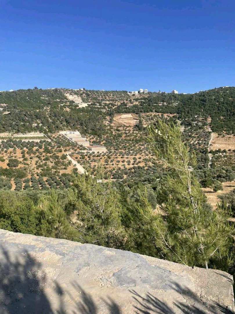 أرض في جبال جرش  - 60,000 دأ - صورة 4