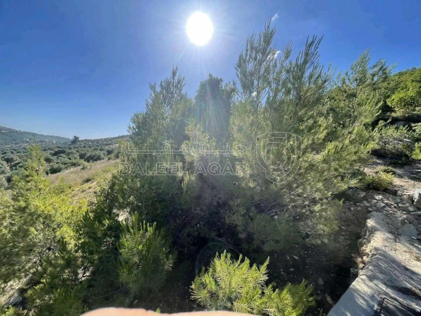 أرض في جبال جرش  - 60,000 دأ - صورة 2