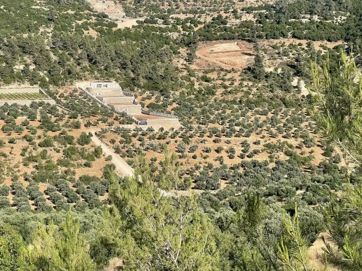 أرض في جبال جرش  - 60,000 دأ - صورة 5