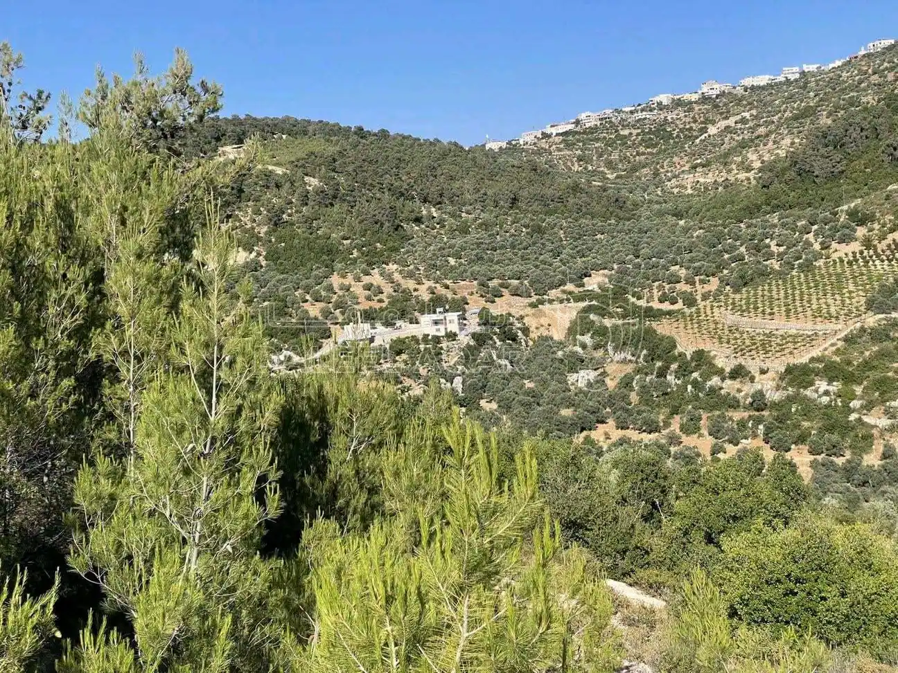 أرض في جبال جرش  - 60,000 دأ - صورة 6
