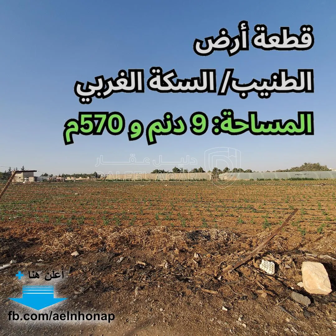 أرض في الطنيب - السكة الغربي - قرب شارع المية - 334,950 دأ - صورة 1