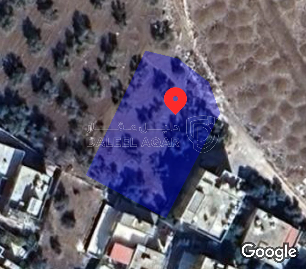 أرض في الحصن  - 45,000 دأ - صورة 1
