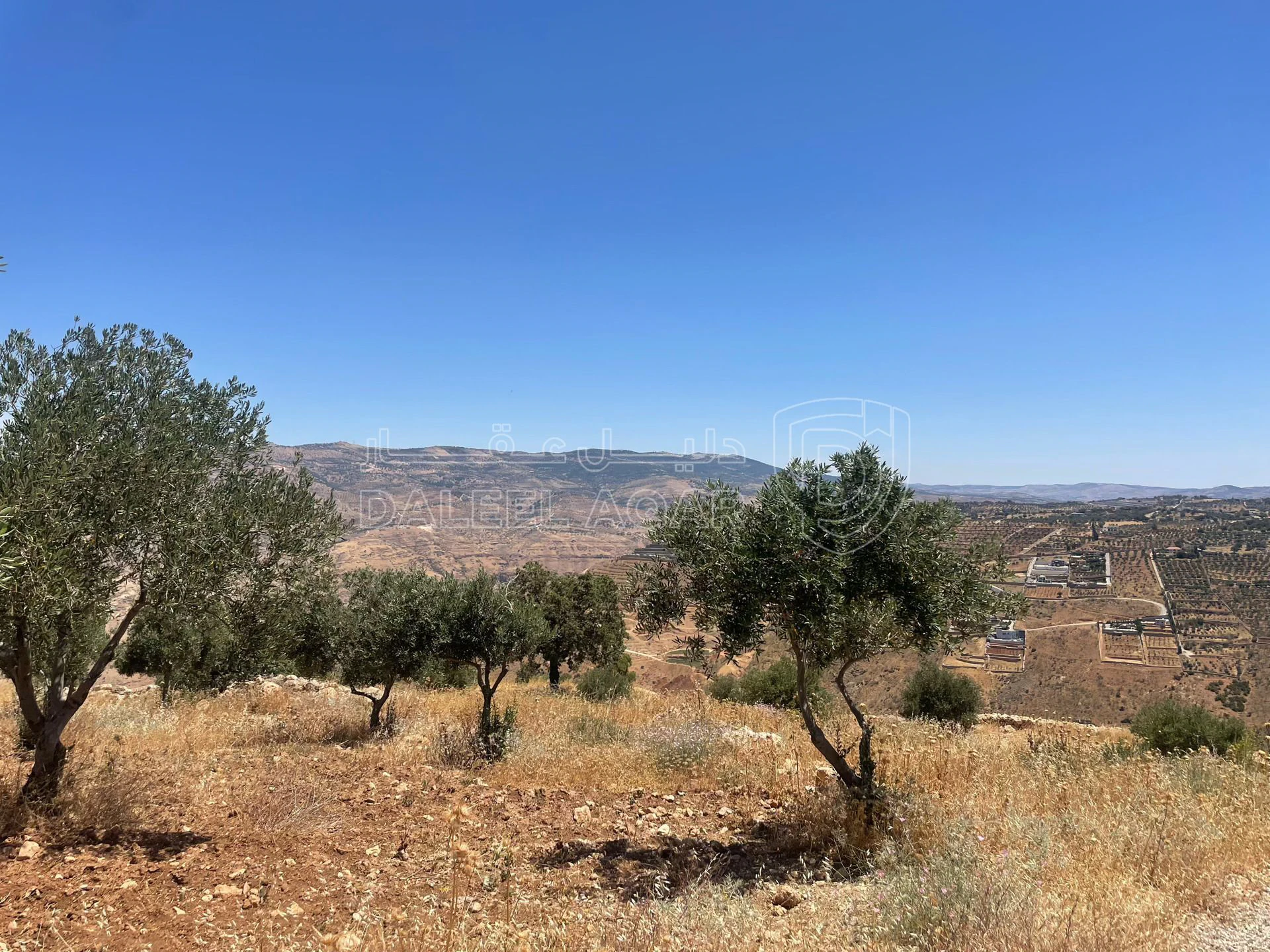 أرض في السلط. الصبيحي - 75,000 دأ - صورة 1
