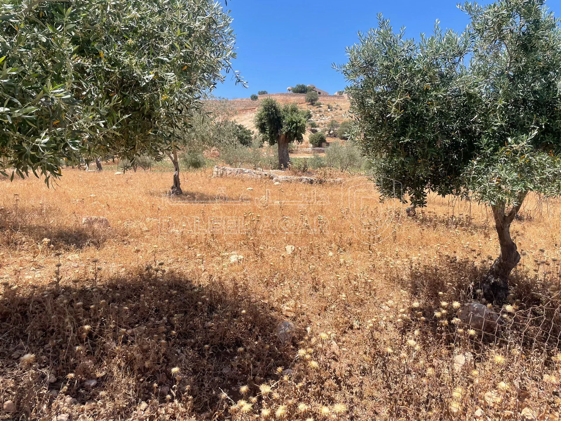 أرض في السلط. الصبيحي - 75,000 دأ - صورة 1