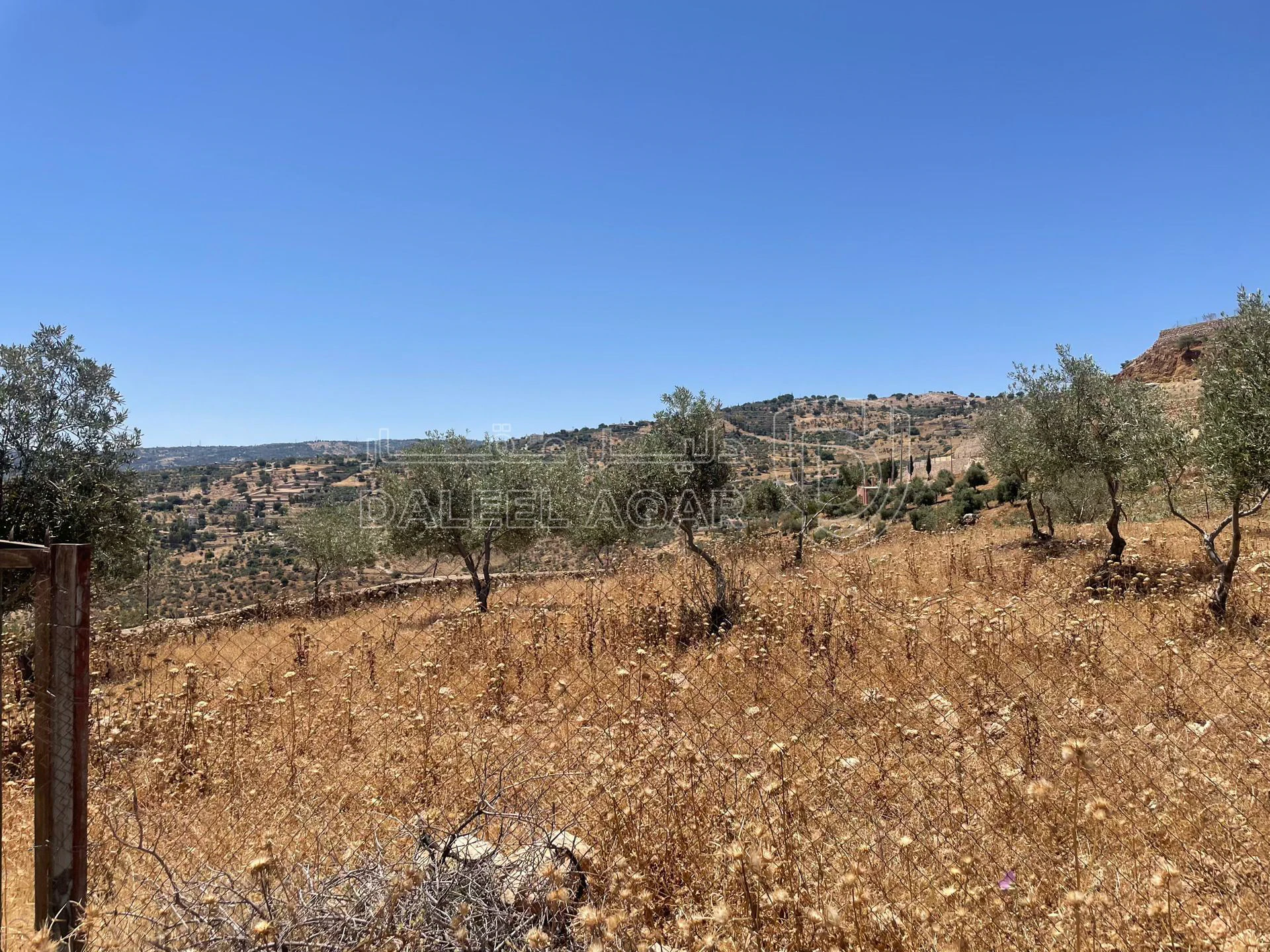 أرض في السلط. الصبيحي - 75,000 دأ - صورة 1
