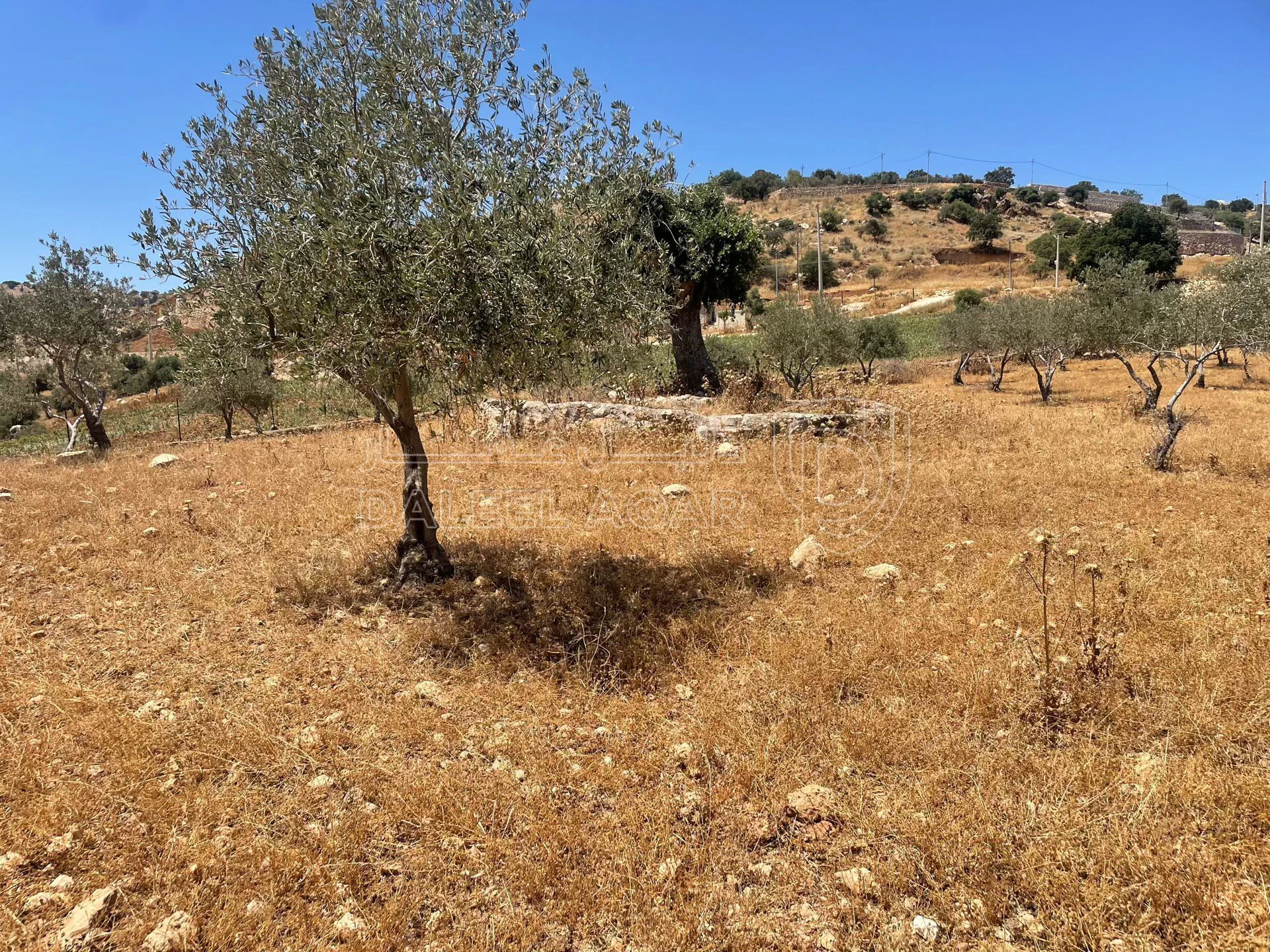 أرض في السلط. الصبيحي - 75,000 دأ - صورة 1