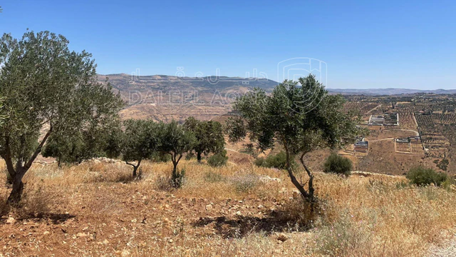 أرض في السلط. الصبيحي - 75,000 دأ - صورة NaN