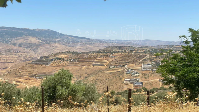 أرض في السلط. الصبيحي - 75,000 دأ - صورة NaN