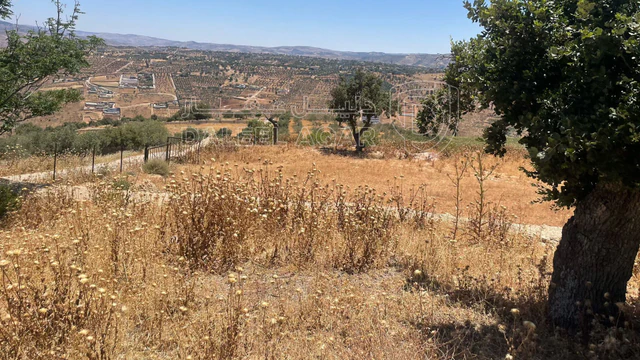 أرض في السلط. الصبيحي - 75,000 دأ - صورة NaN