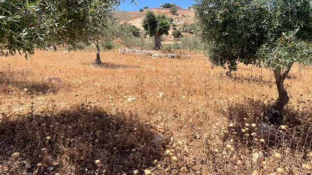 أرض في السلط. الصبيحي - 75,000 دأ - صورة NaN