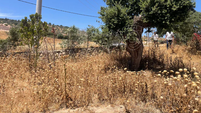 أرض في السلط. الصبيحي - 75,000 دأ - صورة NaN