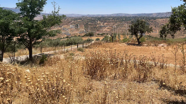 أرض في السلط. الصبيحي - 75,000 دأ - صورة NaN