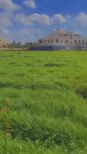 أرض في عمان ضاحية الأمير علي قرب مدارس بيت المقدس  - 110,000 دأ - صورة NaN