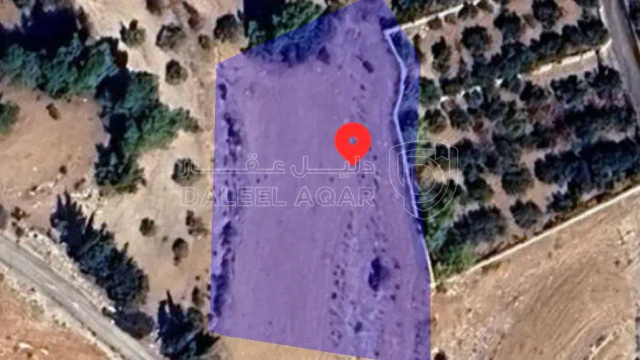أرض في السلط وادي الناقة الشمالي - 160,000 دأ - صورة 1
