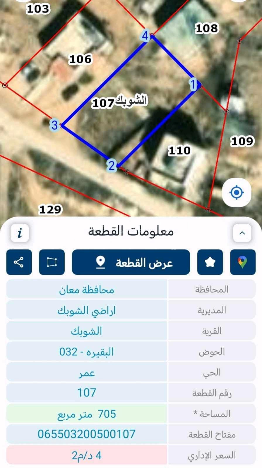أرض في  الشوبك - 8,000 دأ - صورة 1