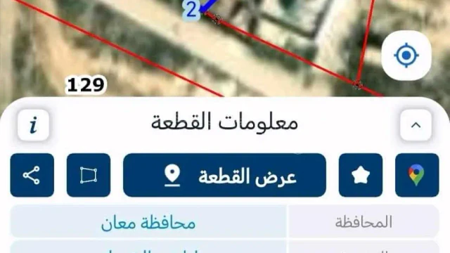 أرض في  الشوبك - 8,000 دأ - صورة 1