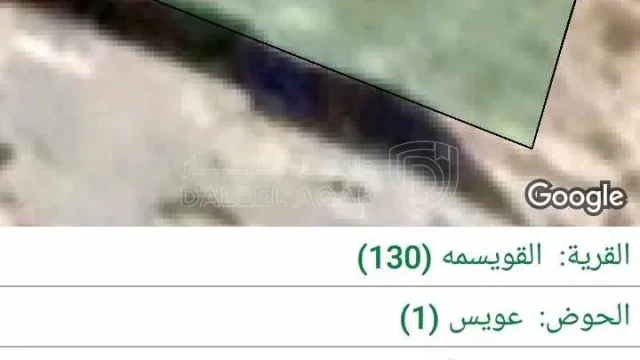 أرض - ارض للبيع في حي عدن - 30000 دأ