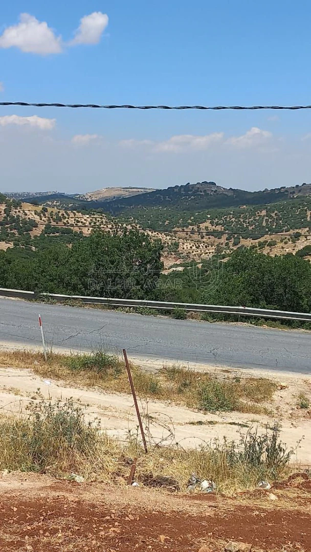 أرض في أرض استثمارية للبيع - 65,000 دأ - صورة 1