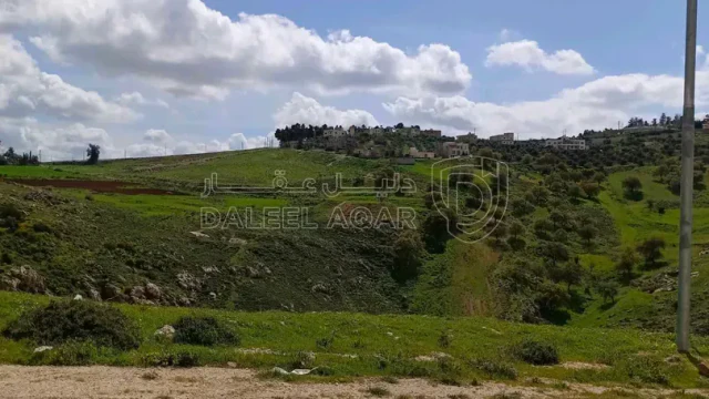 أرض - مرج الحمام  ام عبهره - 60000 دأ