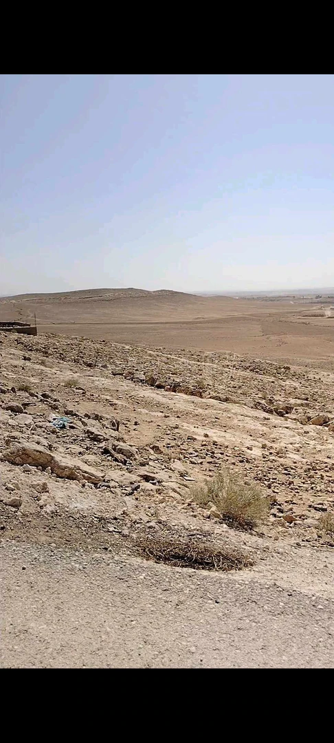 أرض في المفرق -الخالدية - 6,500 دأ - صورة 1