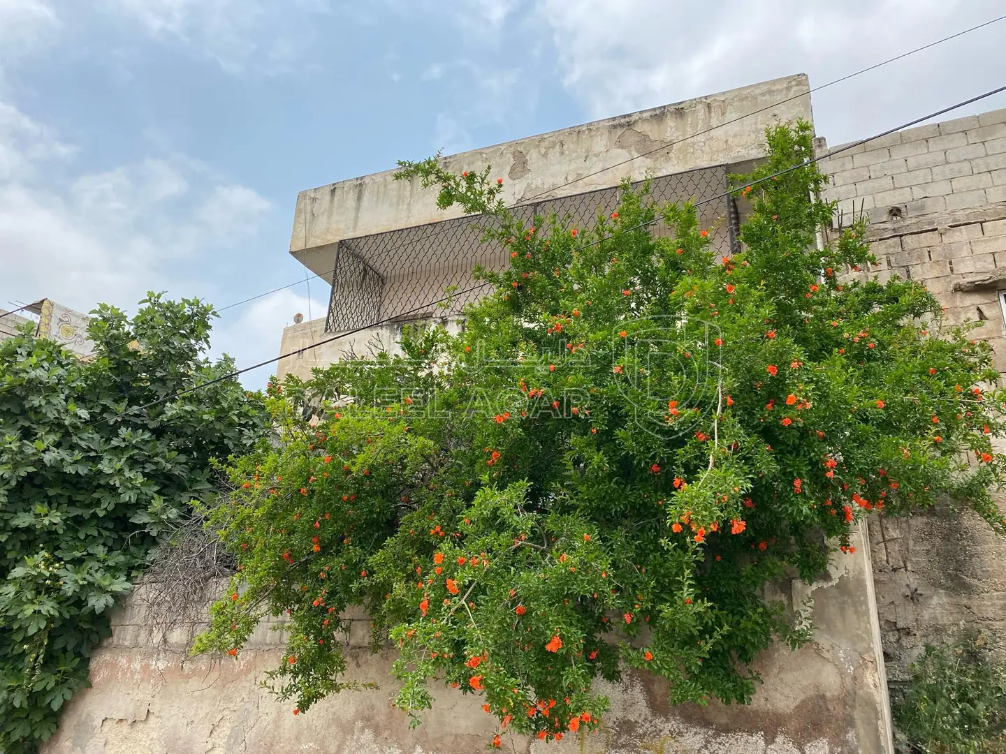 فيلا/منزل في القويسمه - 45,000 دأ - صورة 1