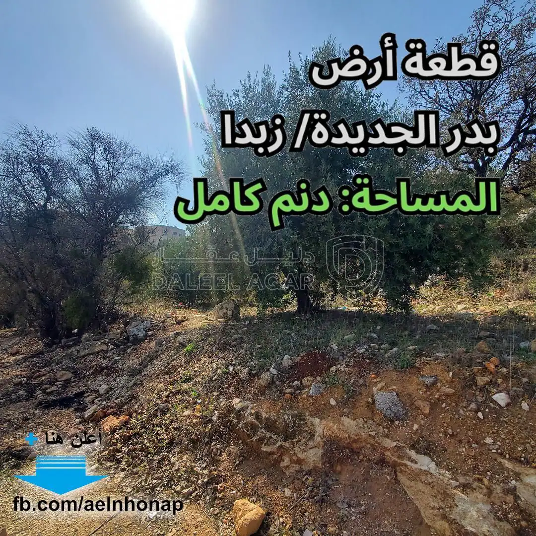 أرض في بدر الجديدة/ زبدا - قرب مسجد سعد بن أبي وقاص - 130,000 دأ - صورة 1