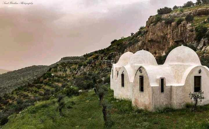 مزرعة/شاليه في منتجع العاسف - 390,000 دأ - صورة 1