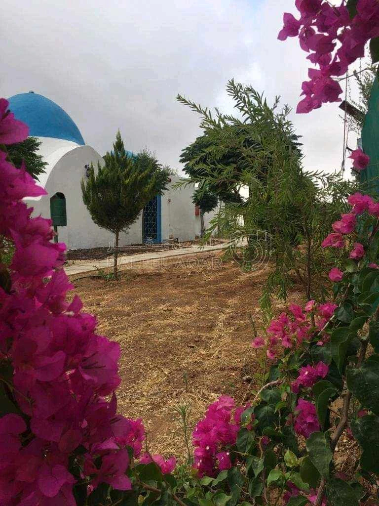 مزرعة/شاليه في منتجع العاسف - 390,000 دأ - صورة 1