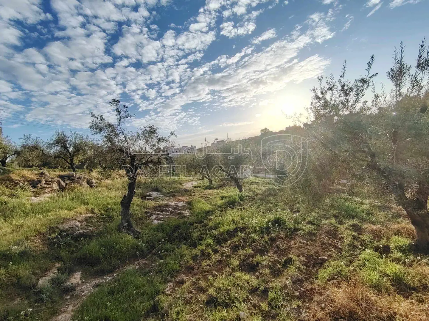 فيلا/منزل في ناعور / البصّة / قبل شركة دار الدواء. - 290,000 دأ - صورة 1