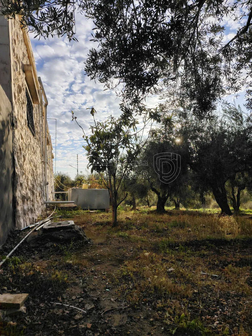 فيلا/منزل في ناعور / البصّة / قبل شركة دار الدواء. - 290,000 دأ - صورة 1