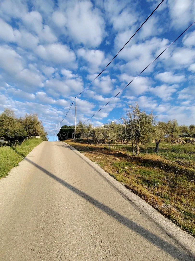 فيلا/منزل في ناعور / البصّة / قبل شركة دار الدواء. - 290,000 دأ - صورة 1