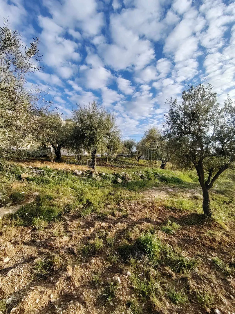 فيلا/منزل في ناعور / البصّة / قبل شركة دار الدواء. - 290,000 دأ - صورة 1