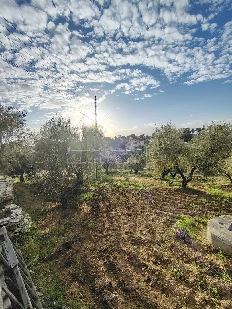 فيلا/منزل في ناعور / البصّة / قبل شركة دار الدواء. - 290,000 دأ - صورة 1