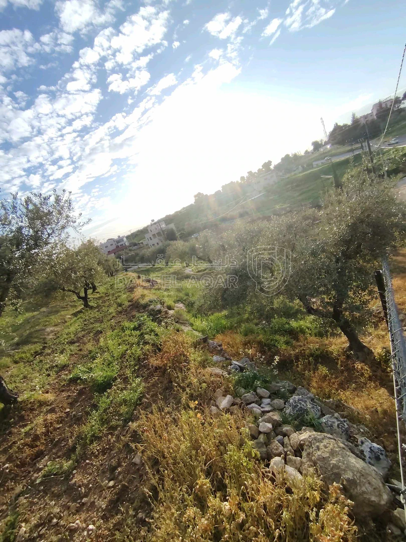 فيلا/منزل في ناعور / البصّة / قبل شركة دار الدواء. - 290,000 دأ - صورة 1