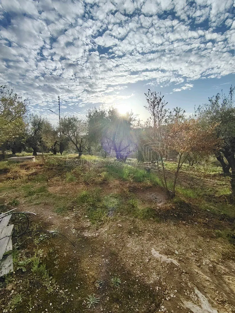 فيلا/منزل في ناعور / البصّة / قبل شركة دار الدواء. - 290,000 دأ - صورة 1