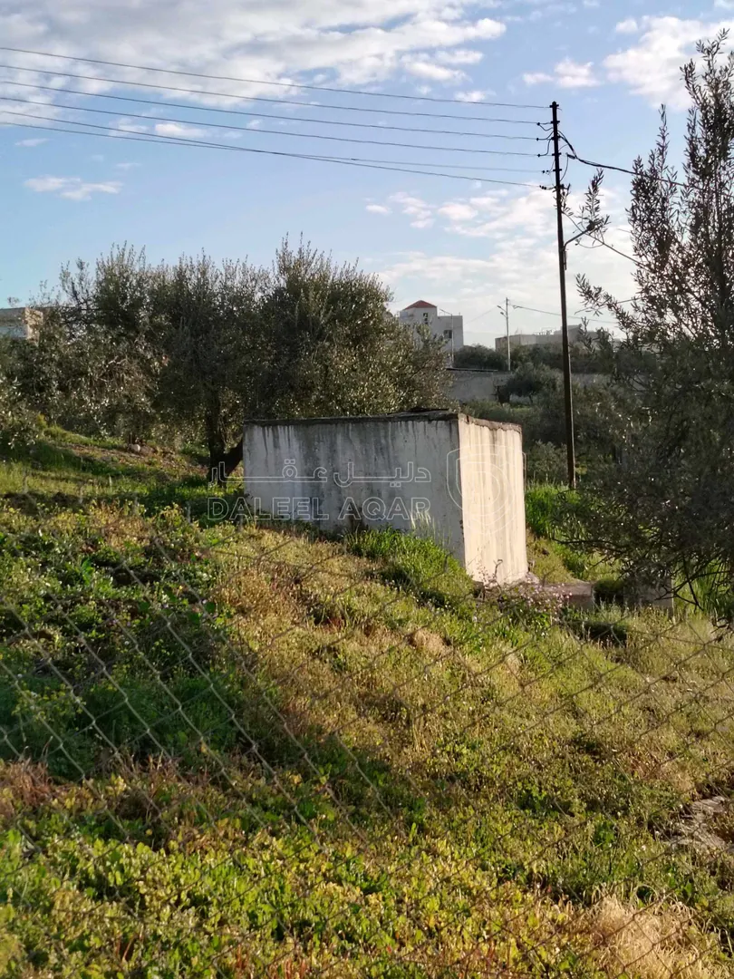 فيلا/منزل في ناعور / البصّة / قبل شركة دار الدواء. - 290,000 دأ - صورة 1